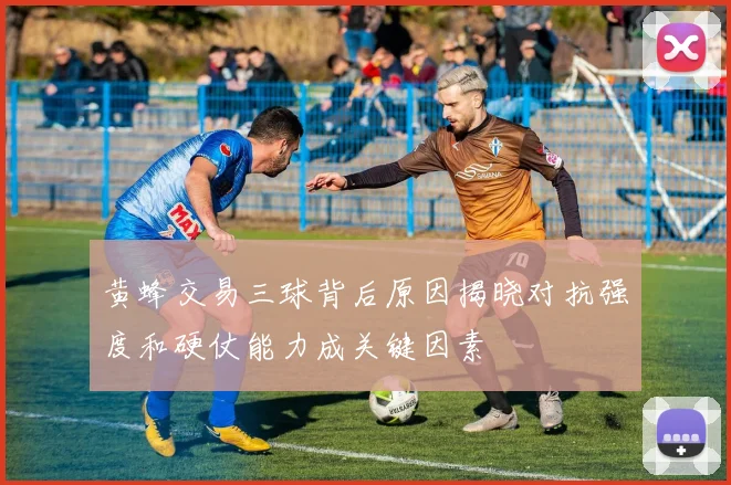 黄蜂交易三球背后原因揭晓对抗强度和硬仗能力成关键因素