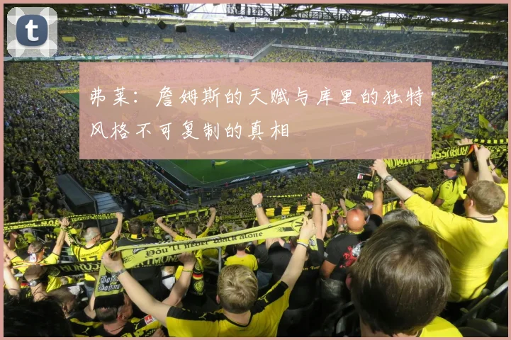 弗莱：詹姆斯的天赋与库里的独特风格不可复制的真相